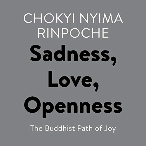 Chokyi Nyima Rinpoche - Sadness, Love, Openness Audiobook