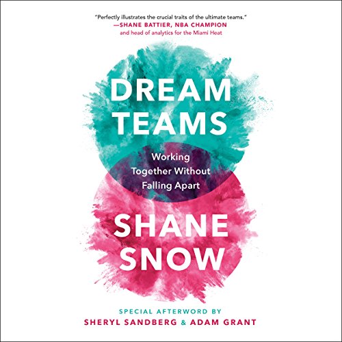 Shane Snow - Dream Teams Audiobook