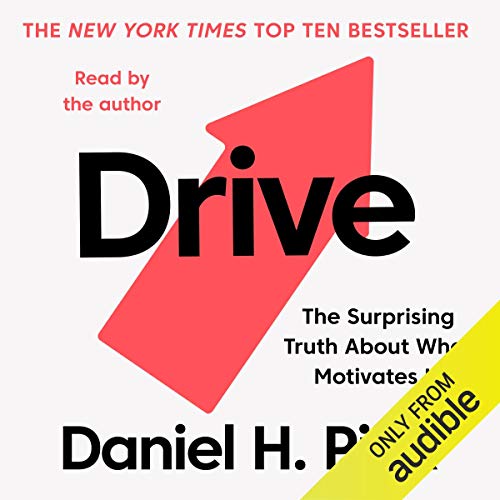 Daniel H. Pink - Drive Audiobook