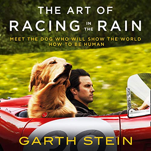 Garth Stein - The Art of Racing in the Rain Audiobook