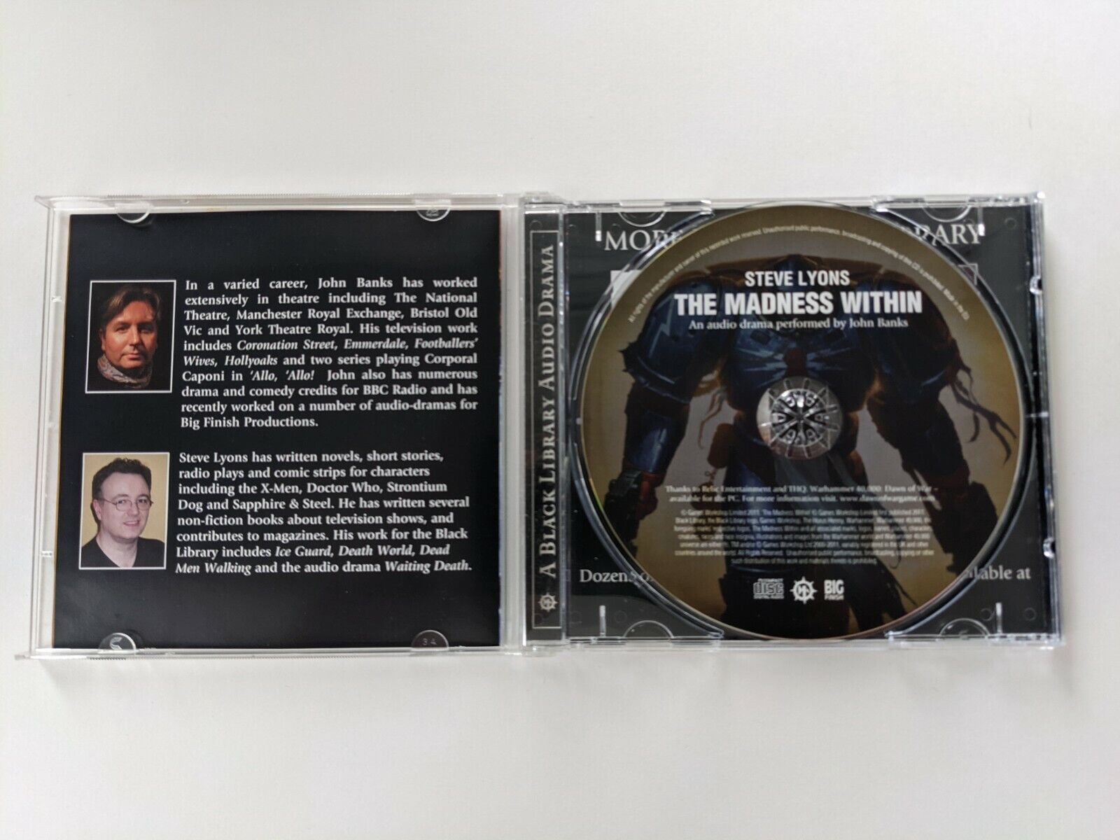 Steve Lyons - The Madness Within Audiobook