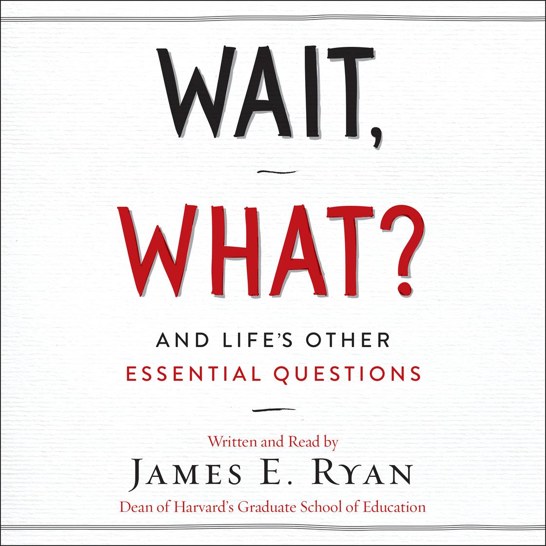 James E. Ryan - Wait, What? Audiobook