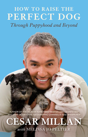 Cesar Millan - How to Raise the Perfect Dog Audiobook