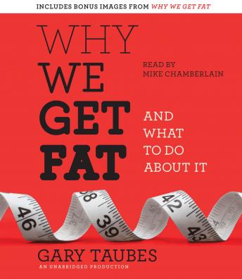 Gary Taubes - Why We Get Fat: And What to Do About It Audiobook