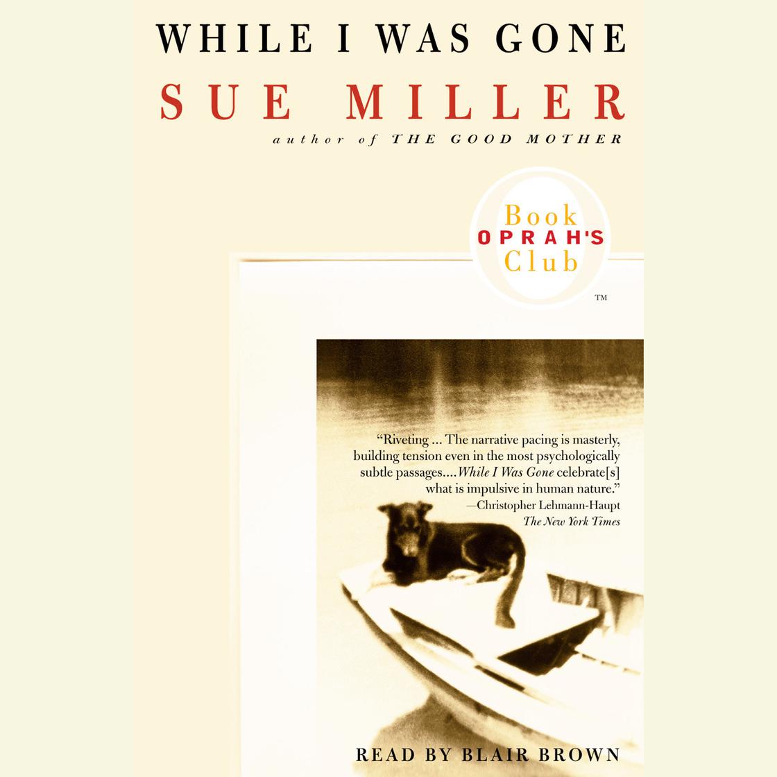 Sue Miller - While I Was Gone Audiobook