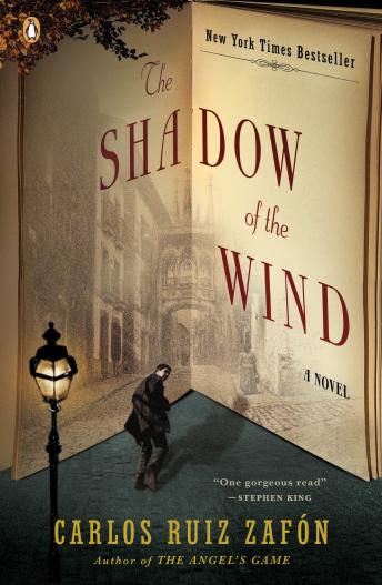 Carlos Ruiz Zafón - The Shadow of the Wind Audiobook
