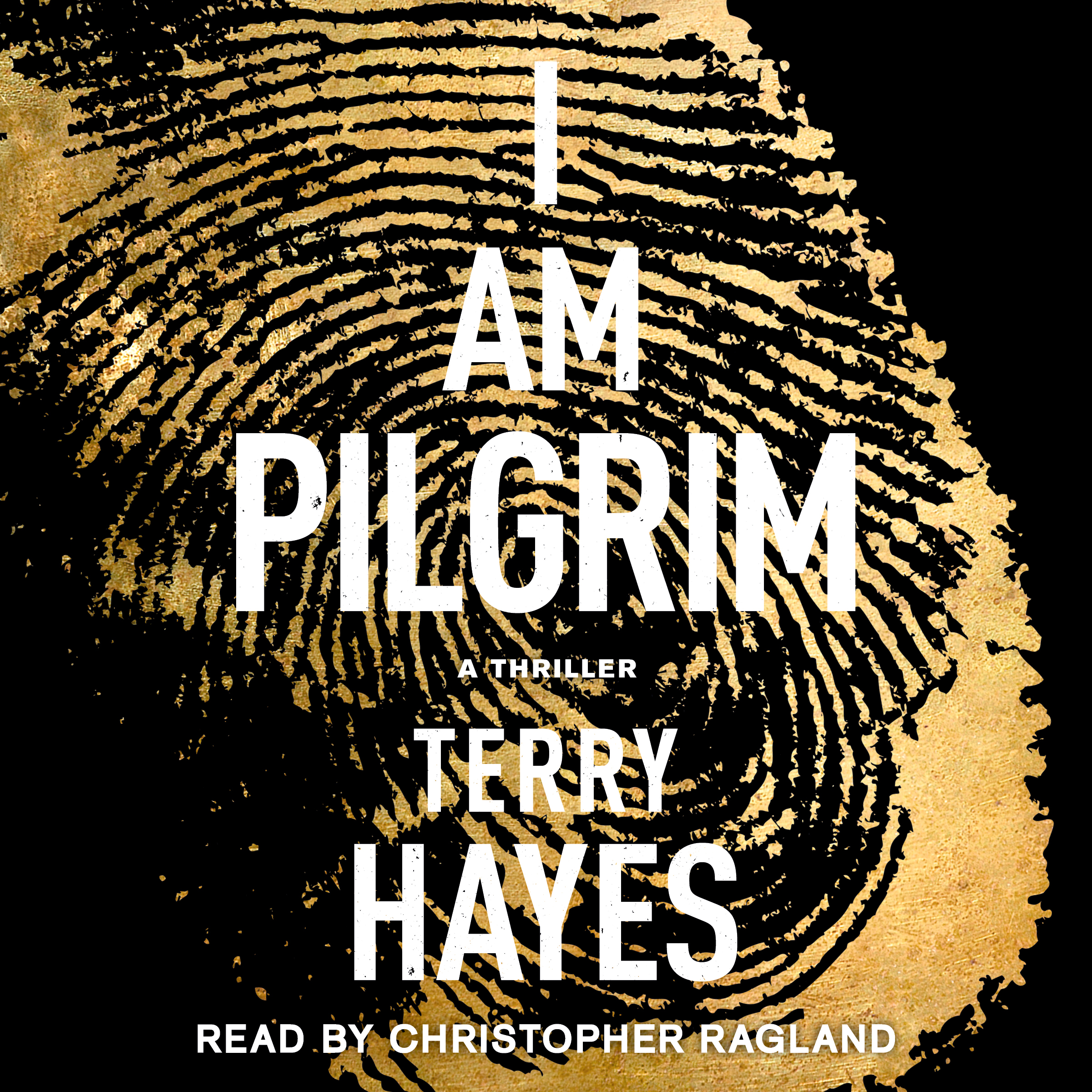 Terry Hayes - I Am Pilgrim Audiobook