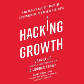 Sean Ellis - Hacking Growth Audiobook