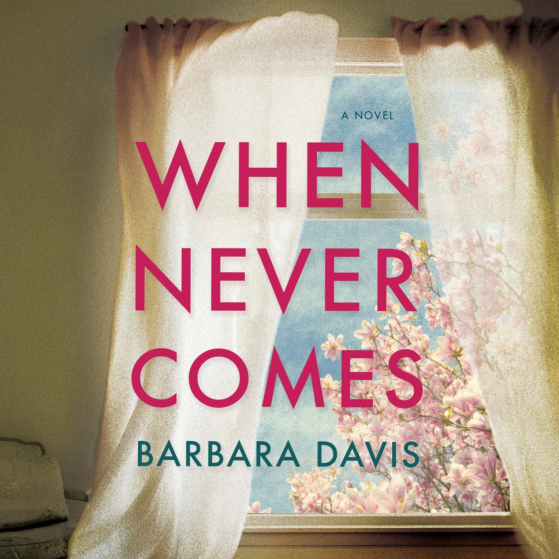 Barbara Davis - When Never Comes Audiobook