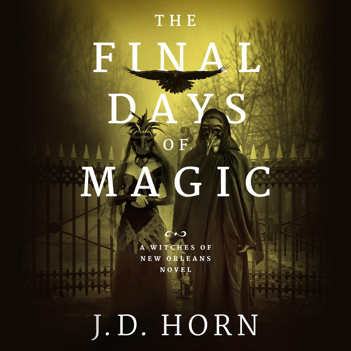 J.D. Horn - The Final Days of Magic Audiobook
