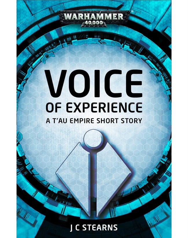 J C Stearns - Voice of Experience Audiobook