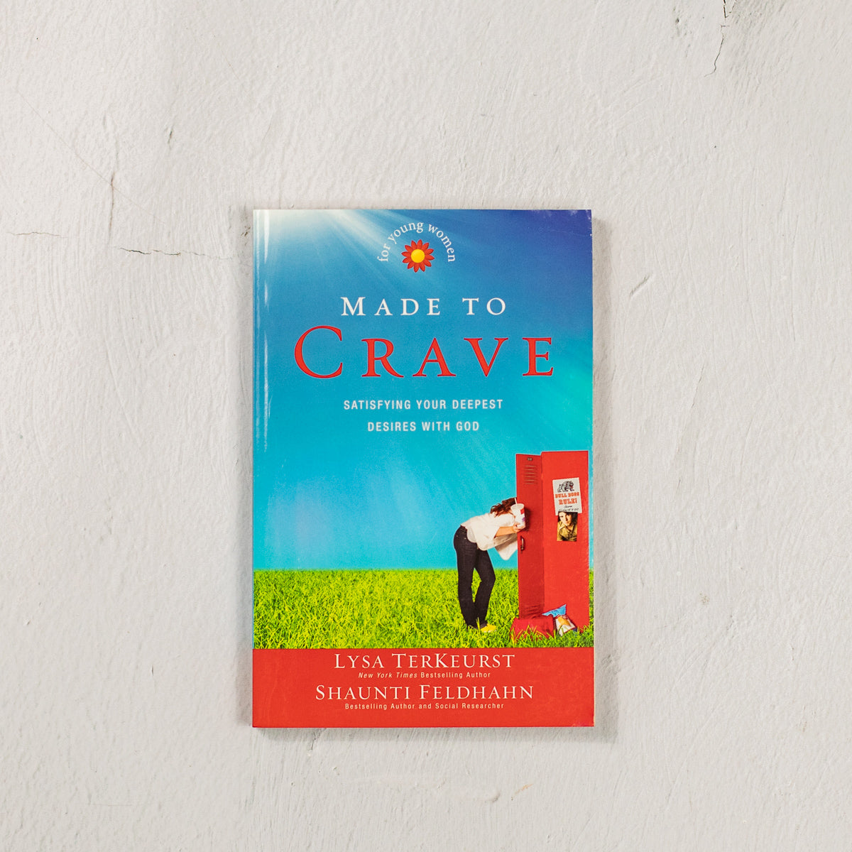 Lysa Terkeurst - Made to Crave Audiobook