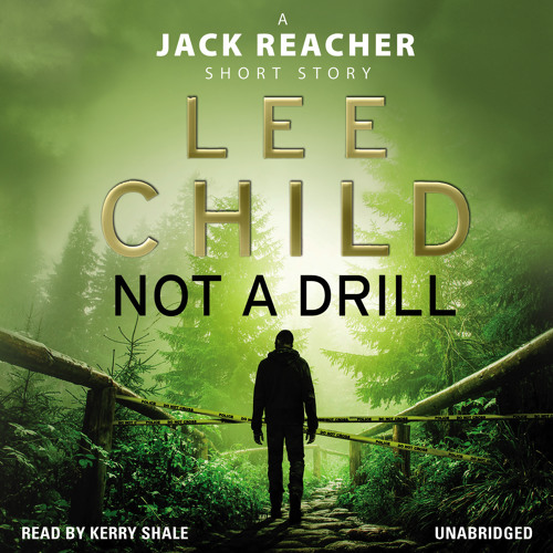 Lee Child - Not a Drill Audiobook