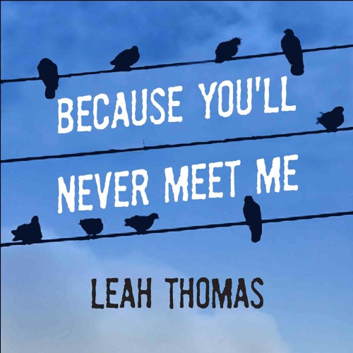 Leah Thomas - Because You'Ll Never Meet Me Audiobook