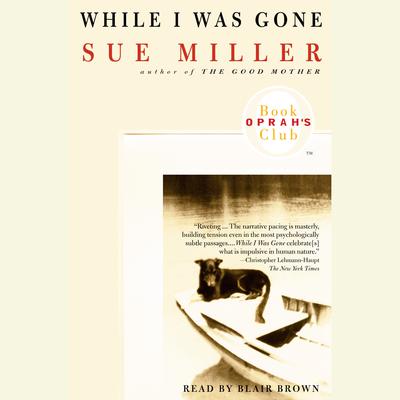 Sue Miller - While I Was Gone Audiobook