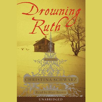 Christina Schwarz - Drowning Ruth Audiobook