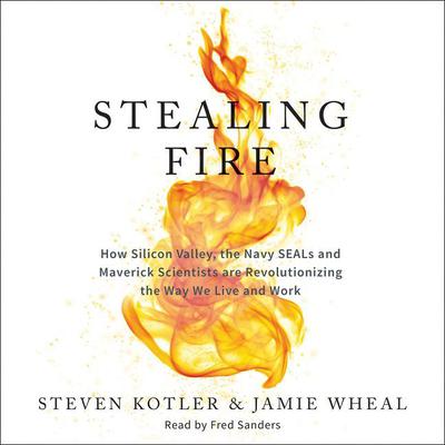 Steven Kotler - Stealing Fire Audiobook