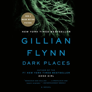 Dark Places Audiobook by Gillian Flynn