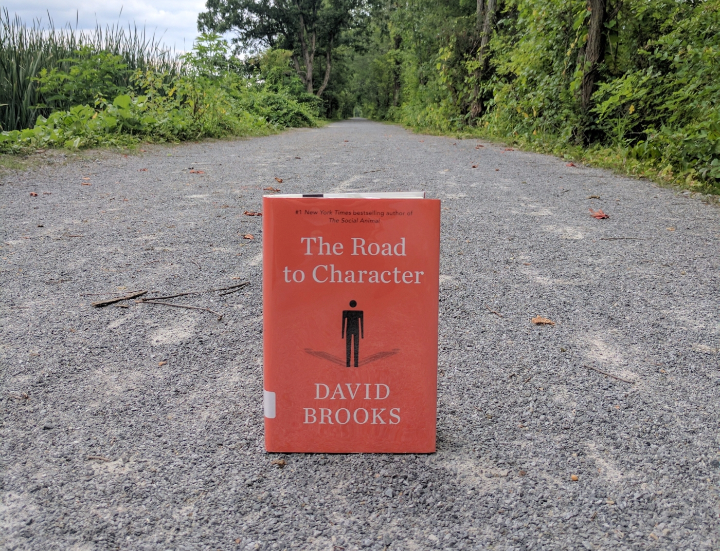 David Brooks - The Road to Character Audiobook