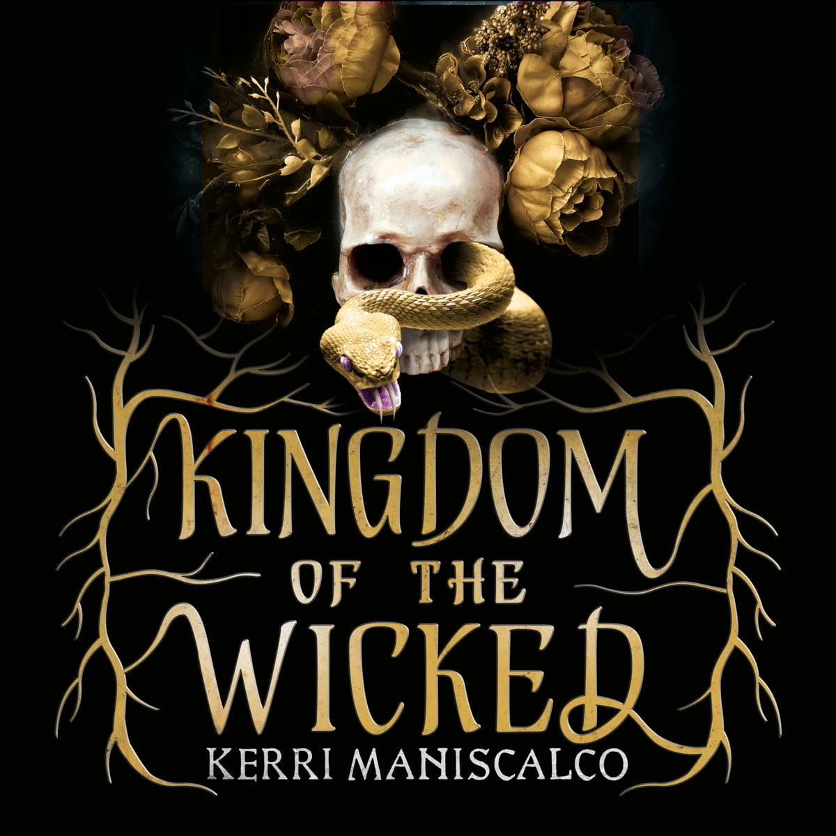 Kerri Maniscalco - Kingdom of the Wicked Audiobook
