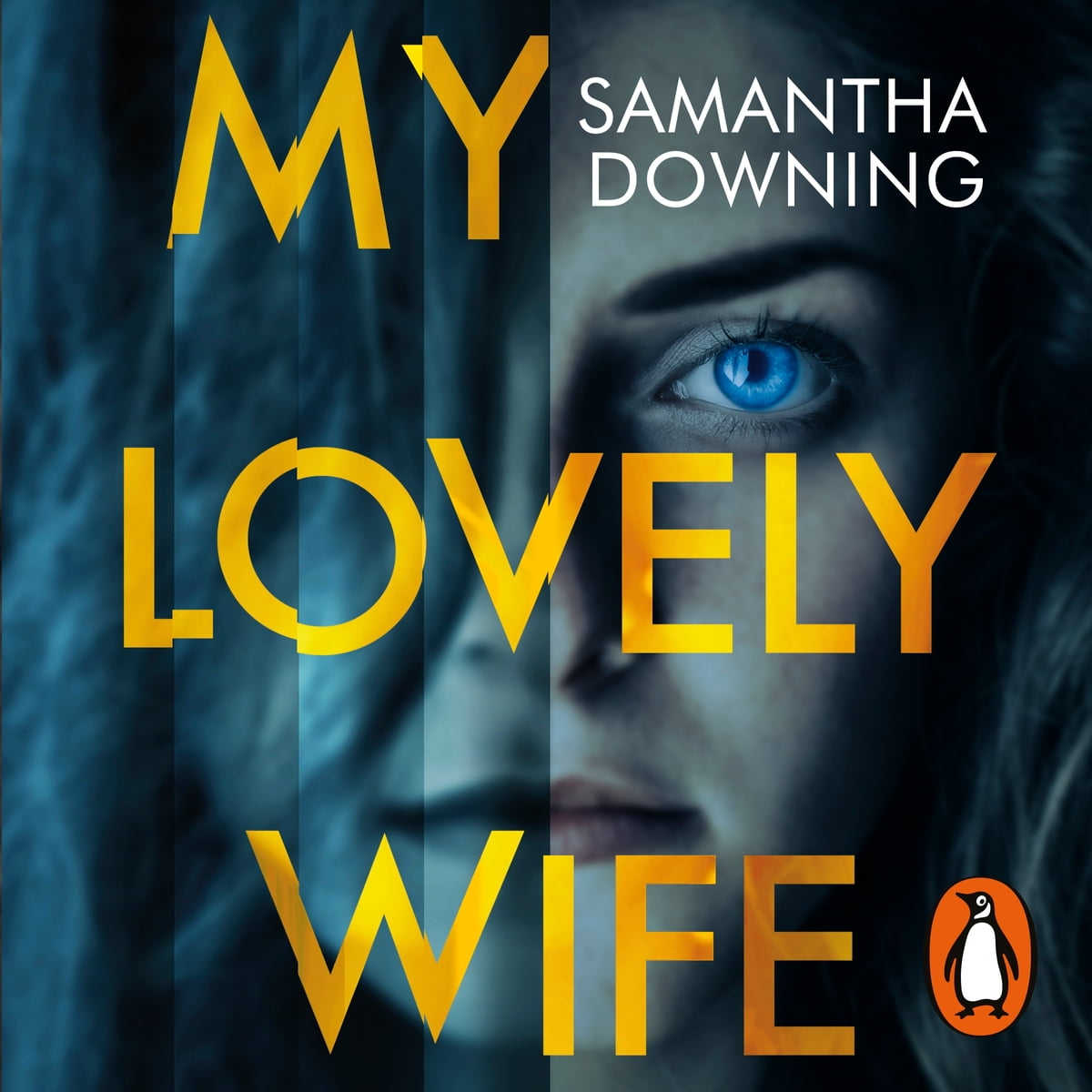 Samantha Downing - My Lovely Wife Audiobook
