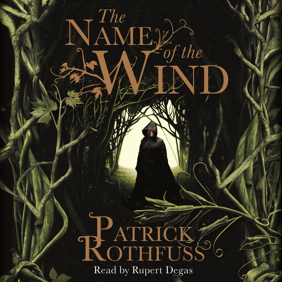 The Name of the Wind Audiobook by Patrick Rothfuss