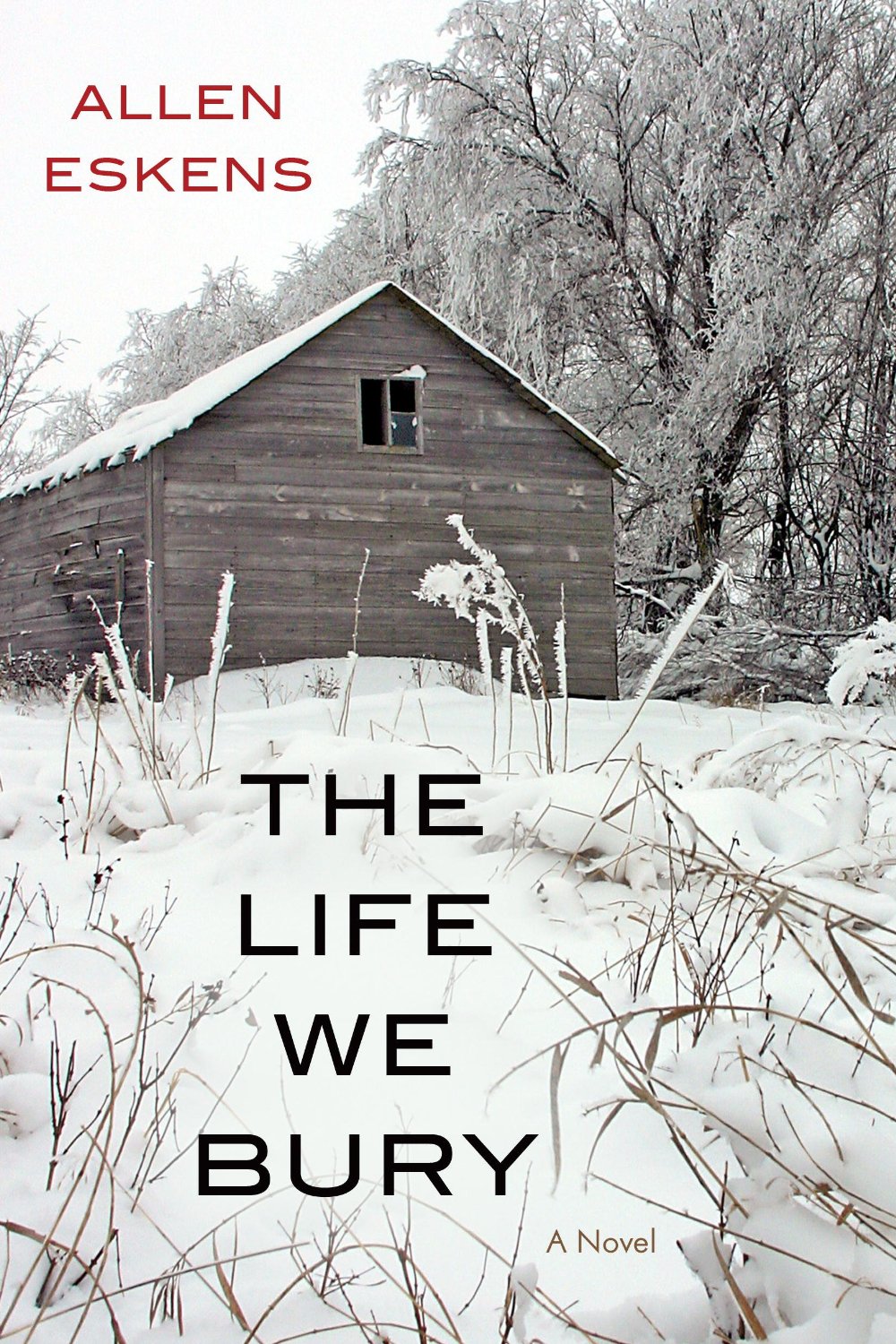 Allen Eskens - The Life We Bury Audiobook
