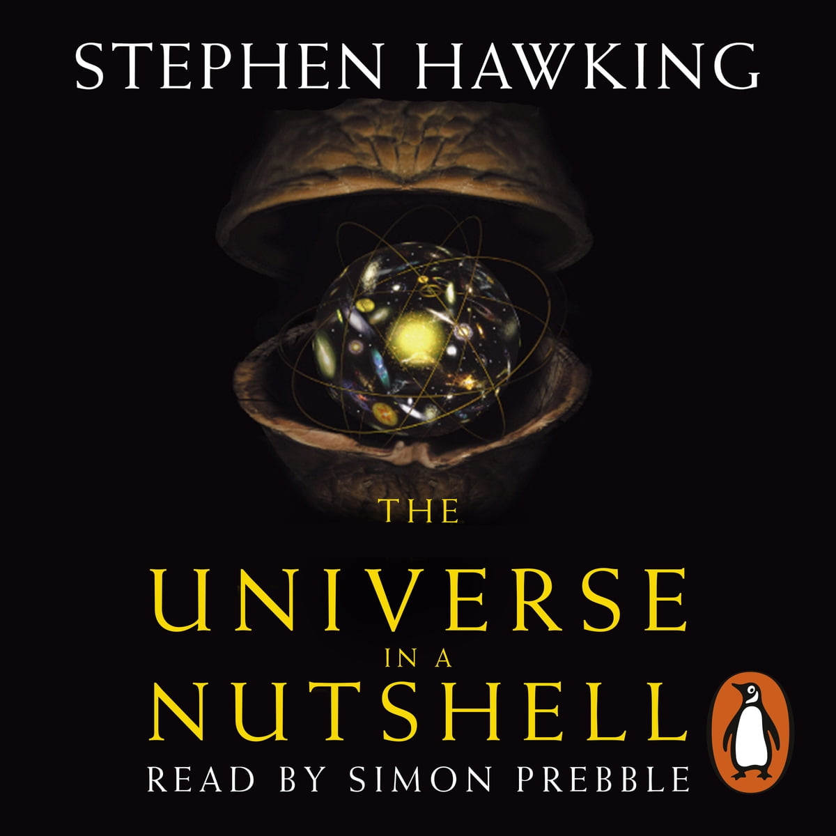 Stephen William Hawking - The Universe in a Nutshell Audiobook